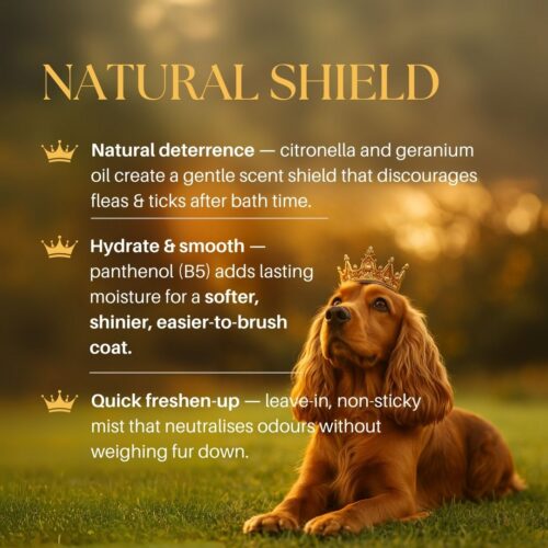 5 Flea & Tick Spray